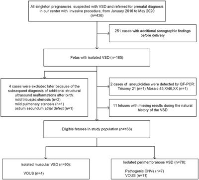 Should prenatal chromosomal microarray analysis be offered for isolated ventricular septal defect? A single-center retrospective study from China